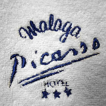 Picasso Málaga